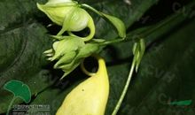 时间该怎么花才有价值