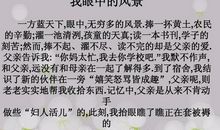 我眼中的风景作文