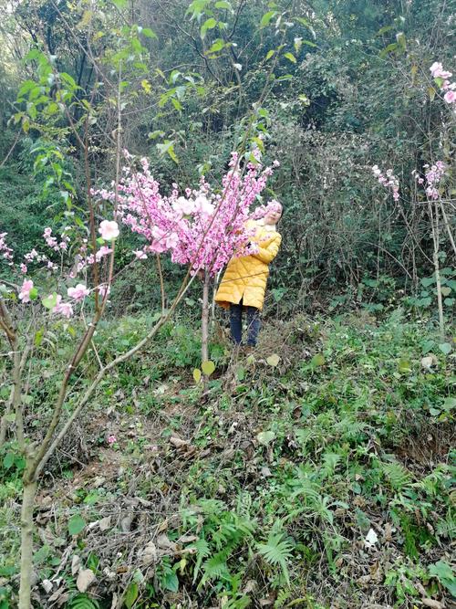 走路一路走来