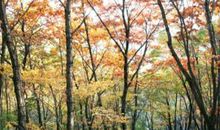 山里的和谐山里的爱