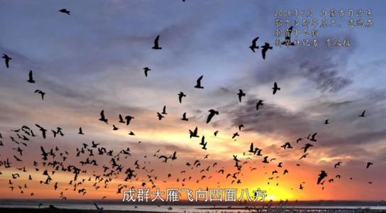《爱无疆》观后感
