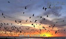 《爱无疆》观后感