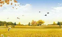 我在阅读中快乐成长