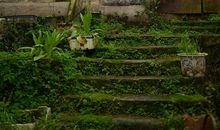 忘不了那记忆中的乡韵