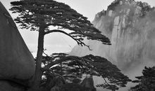 有朋自远方来——纳兰性德