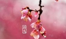 滋润心田的“雨”