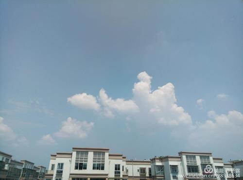 生命之树高于天空