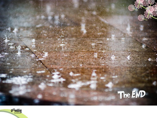 携手与风雨