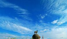 要学会接受和改变