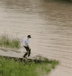 让我们回归自然