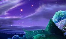 人世间最美的旋律