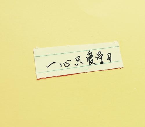 学会坚持坚持