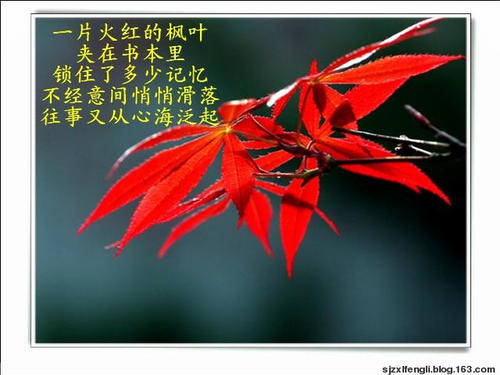 这真的是一个及时的雨。