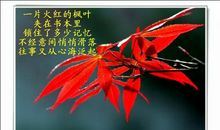 这真是一场及时雨