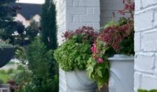 水泥地上长不出创新花