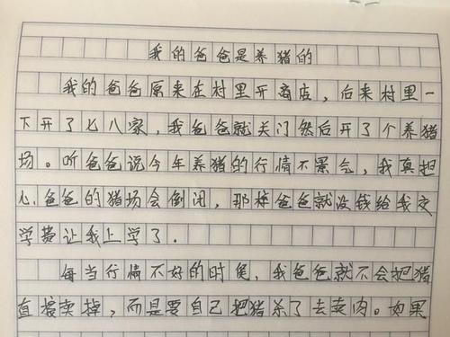我的语言老师录制结束