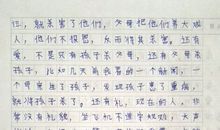 我心中最美的风景作文