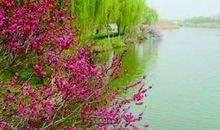 幸福有如云淡风轻