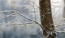 逆行之路——读《万水千山走遍》有感