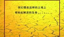 书是生命的源泉