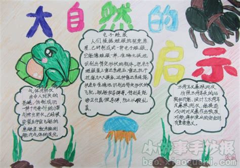 大自然的音乐