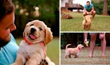 请你幸福我的幸福