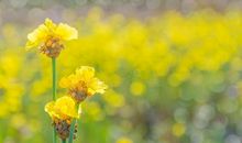 收获季节雨纷纷