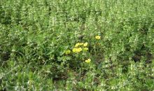 心灵有约读后感