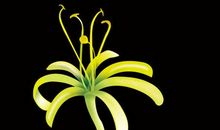 温暖，原来如此简单