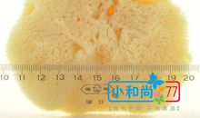 我很丑，可我很快乐