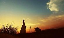 时光静好真情难放