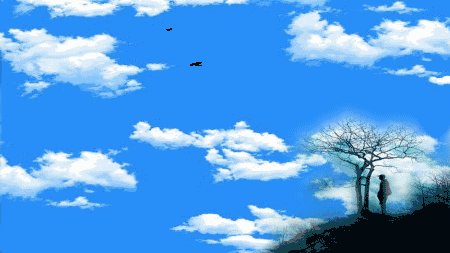 为元乡的鸟类欢呼