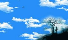 为远翔的鸟儿喝彩