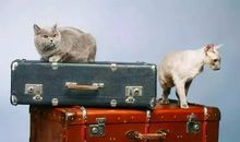 享受生命中的孤独