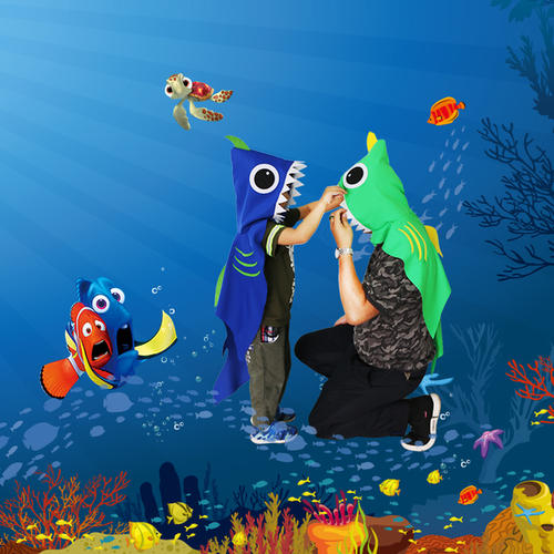 看海洋动物表现