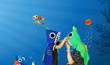 看海洋动物表演有感