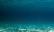 也许放弃也是一种美