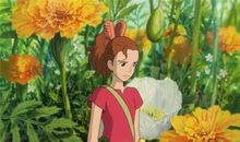 你的执着让我记住了你