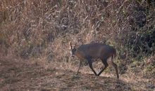 意料之外的收获