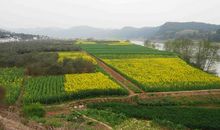 家乡的景色真是美