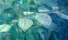 小公益广告，射美丽光辉