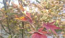 相识是一种快乐