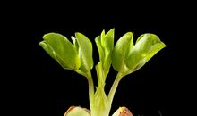 税收带来阳光般的温暖