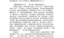 生命的痕迹作文