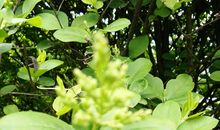 不负春天，不负己