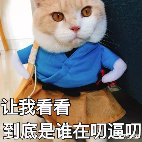 今天，有一个灰烬。