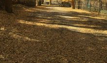 创造原来如此快乐