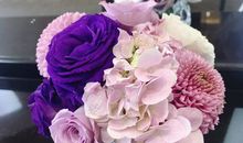 有一种绽放叫淡然