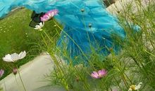 拥有自信我美丽