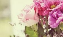 幸福是一种给予